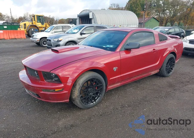 1ZVHT82H195142785: 43497736