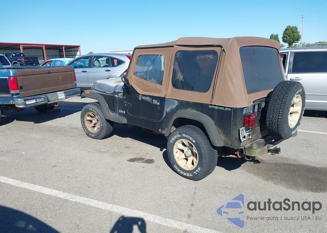 1J4FY19P2RP438316: 43497863