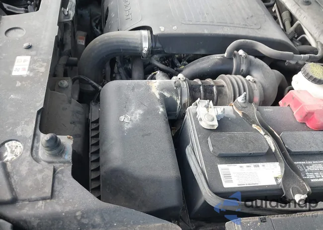 1FM5K8HT6JGA98226: 43498659