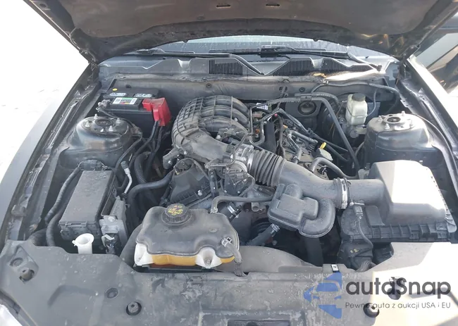 1ZVBP8AM7C5272375: 43498924