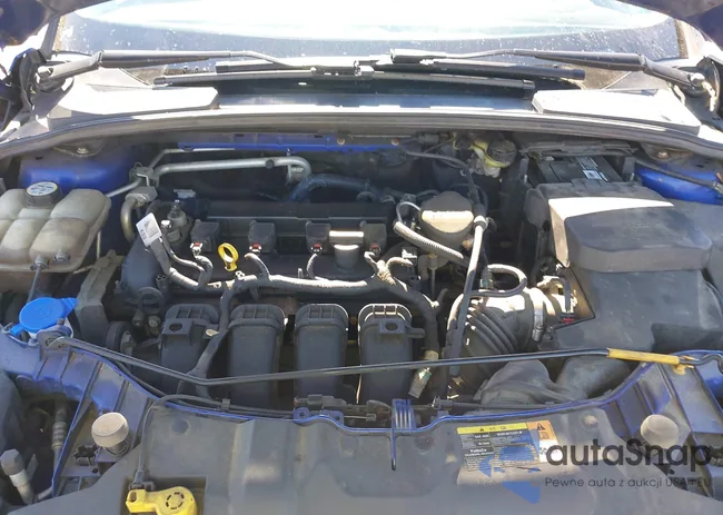 1FADP3F23DL336498: 43498055