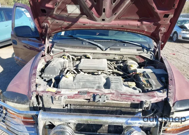 1B7HG48N82S552357: 43498260