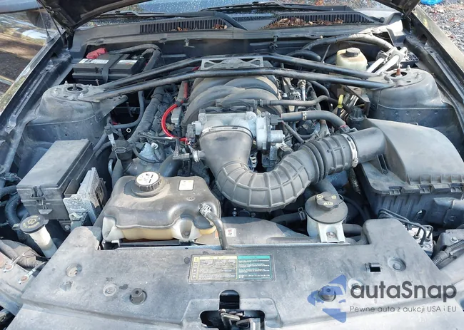 1ZVFT82H465241653: 43499444