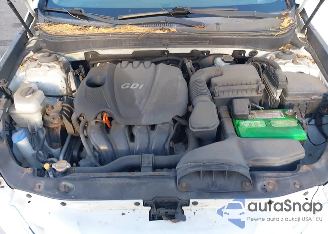 5NPEB4AC7BH205725: 43499581