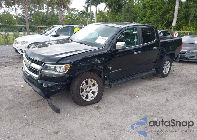 1GCGSCEN1K1167060: 43499085