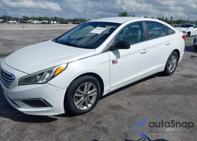 5NPE24AFXGH308154: 43499162