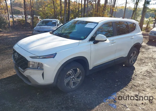 5NMS14AJ0PH491118: 43499314