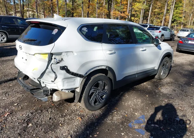 5NMS14AJ0PH491118: 43499314