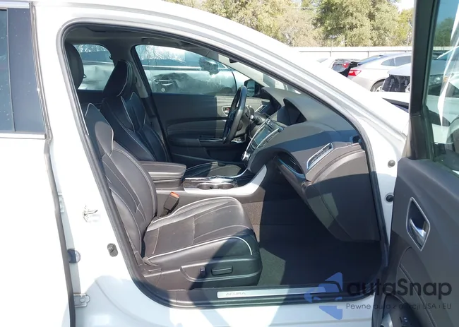 19UUB2F49KA010588: 43500683