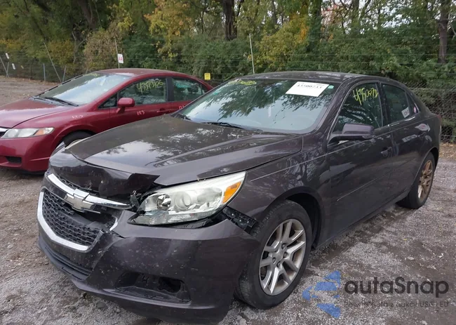 1G11C5SL3FF144446: 43500733