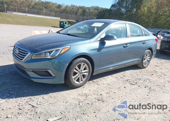 5NPE24AF2GH331640: 43500795