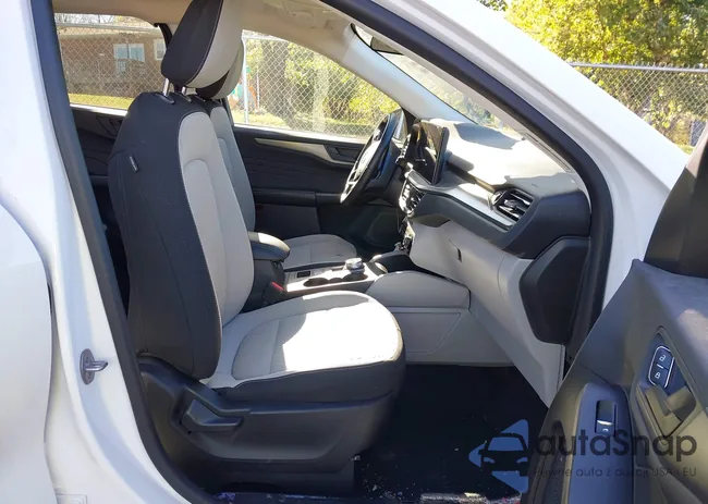 1FMCU9GN9PUA55312: 43500352