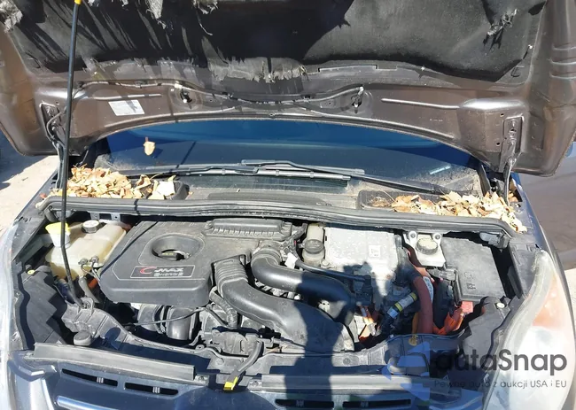 1FADP5CU0DL539852: 43501883