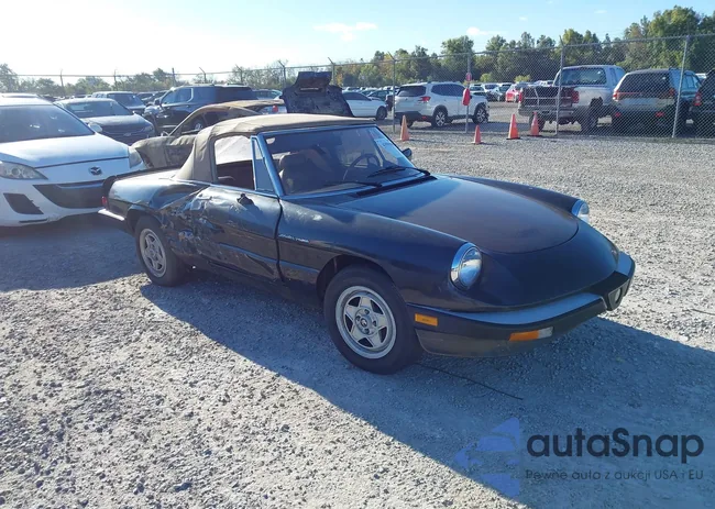 ZARBA5414E1020331: 43501066