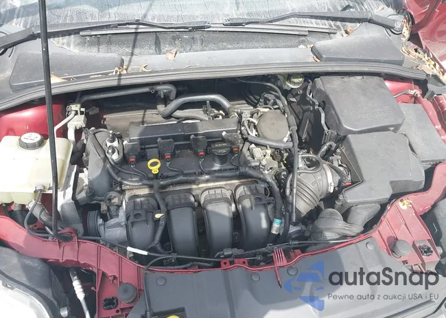 1FADP3F25DL295470: 43501183