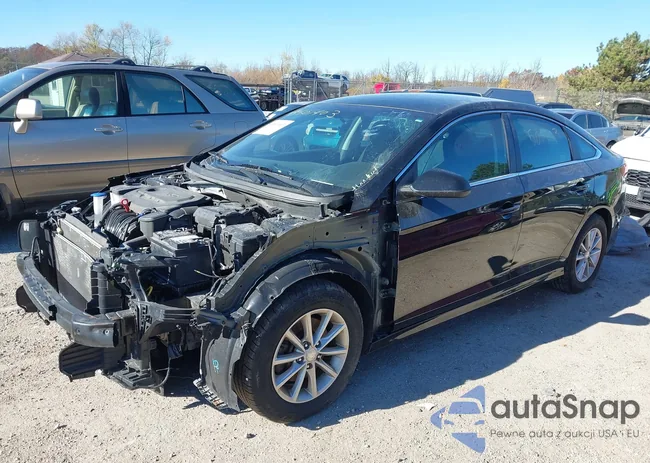 5NPE24AF0KH760171: 43501403