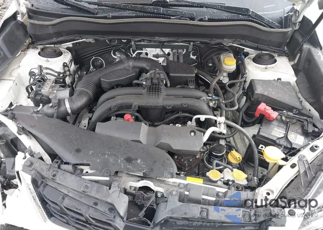 JF2SJAWC3HH497864: 43502529