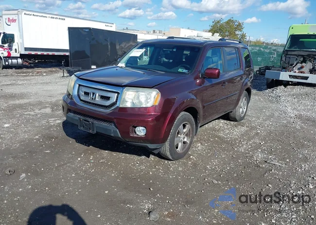 5FNYF48579B024321: 43502042