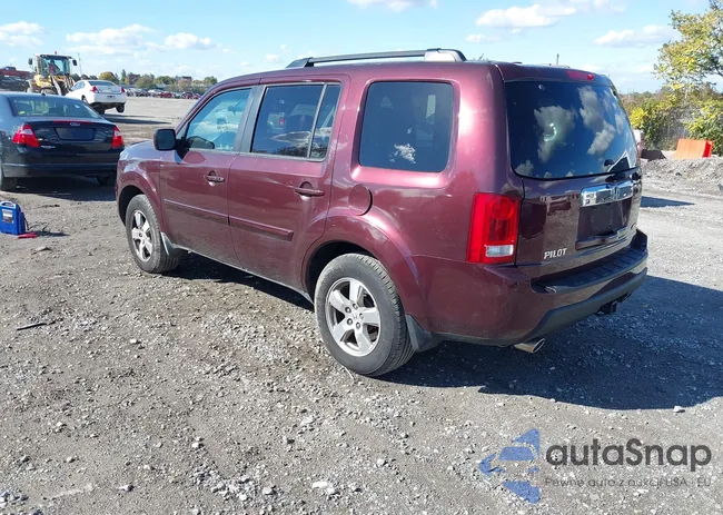 5FNYF48579B024321: 43502042