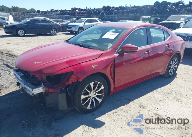 19UUB1F55HA005920: 43502067