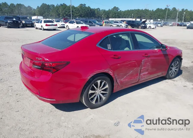 19UUB1F55HA005920: 43502067