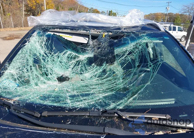 KM8J3CAL4MU405455: 43502159