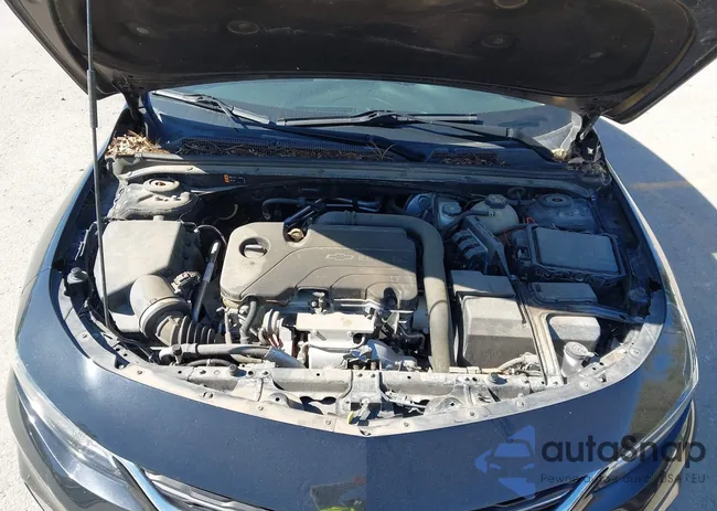 1G1ZB5ST1GF295874: 43503479