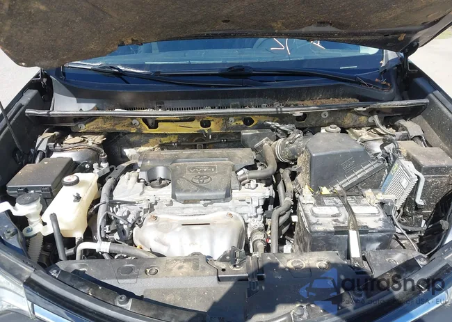 JTMZFREV8JJ183612: 43503820