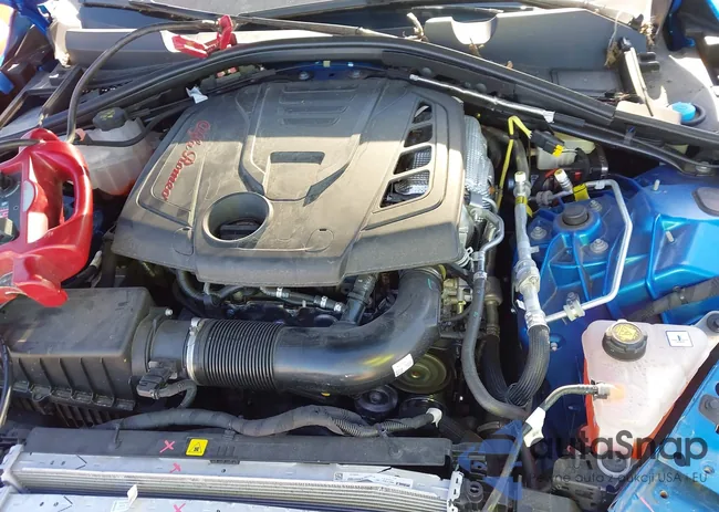 ZARFANBN0P7672788: 43503103