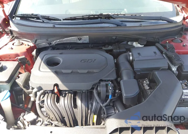 5NPE24AF1JH623089: 43503245