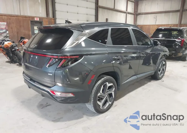 5NMJFCDE6RH365290: 43503391