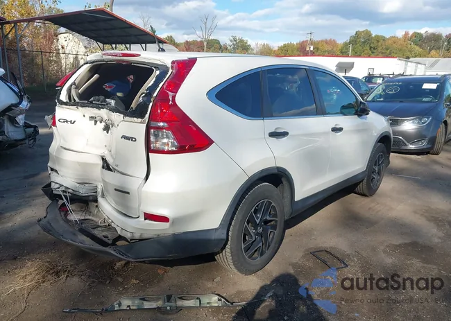 5J6RM4H41GL122024: 43504579