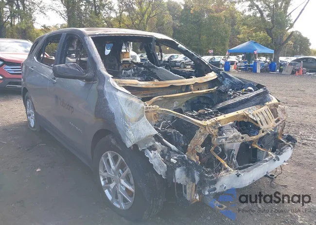 3GNAXTEG7PL167709: 43504704