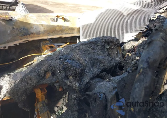 3GNAXTEG7PL167709: 43504704