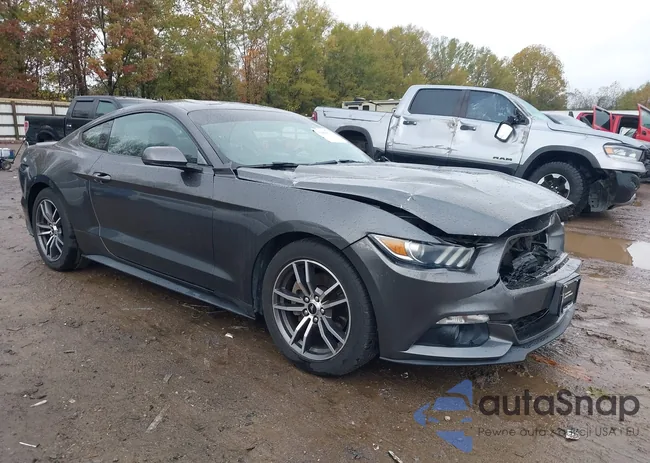 1FA6P8TH0H5245486: 43504914