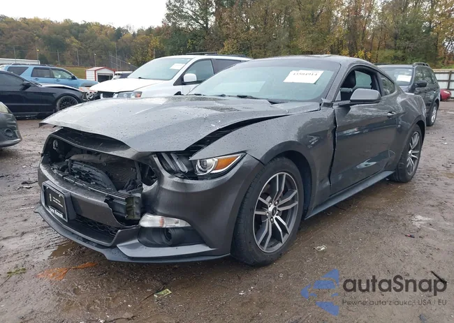 1FA6P8TH0H5245486: 43504914