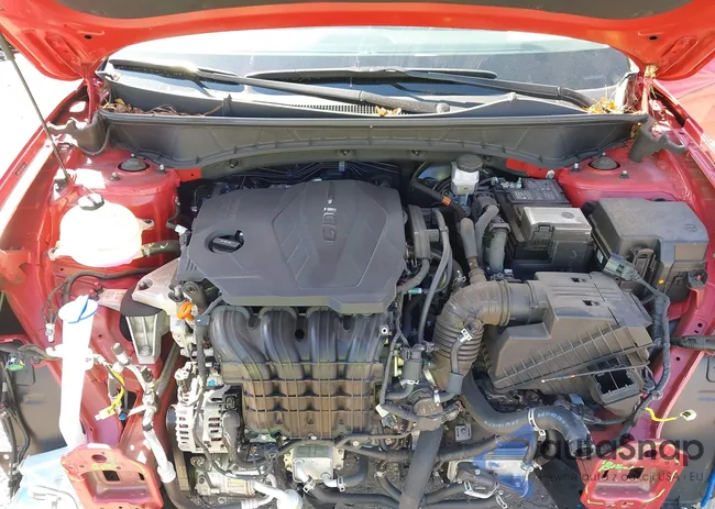 5NMJF3AE9PH284950: 43505025