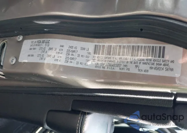 1C4PJLCS6GW319257: 42507696