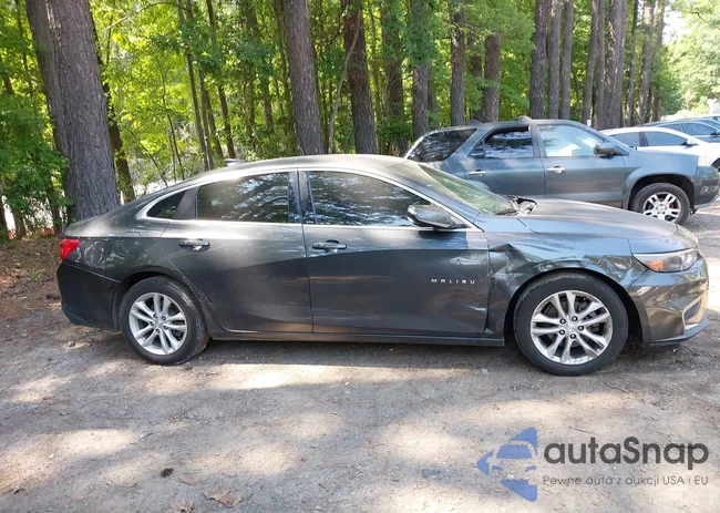 1G1ZE5ST5GF181447: 42507817