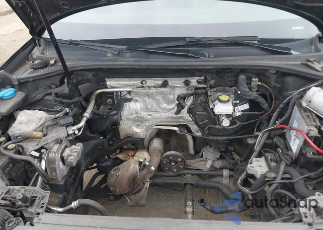 WA1DECF32M1031265: 42507353