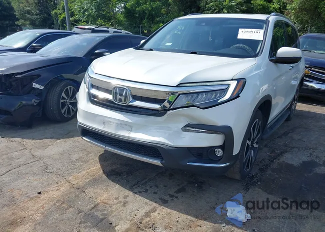 5FNYF6H95MB091006: 42509101