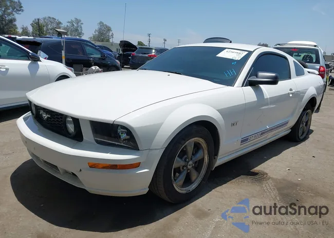 1ZVHT82H055248252: 42509882