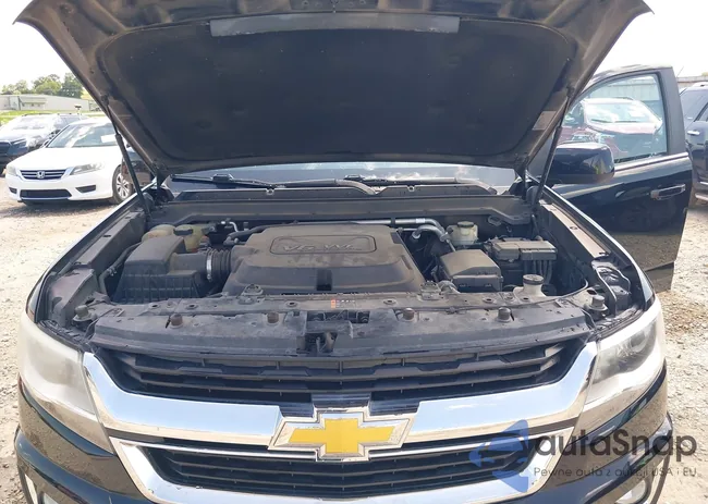 1GCGTCE39G1346224: 42509352