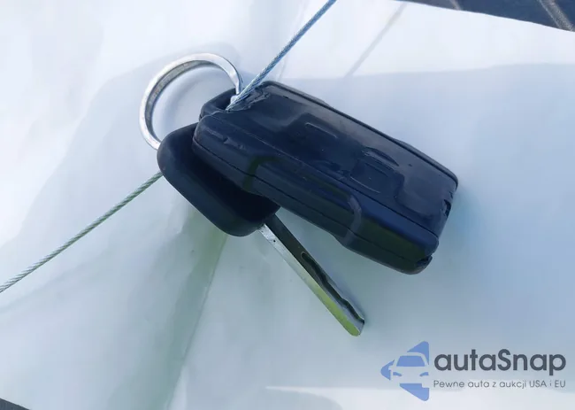 1GCGTCE39G1346224: 42509352