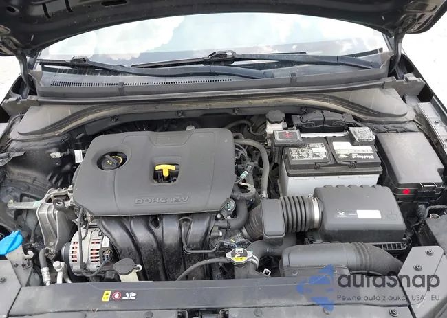 5NPD74LF2KH490855: 42509383