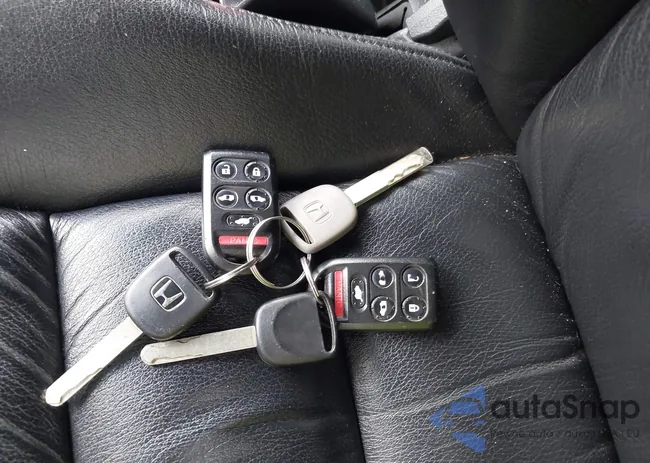 5FNRL38885B082028: 42511646