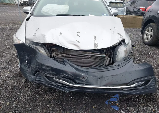 2HGFB2F50FH565969: 42511896