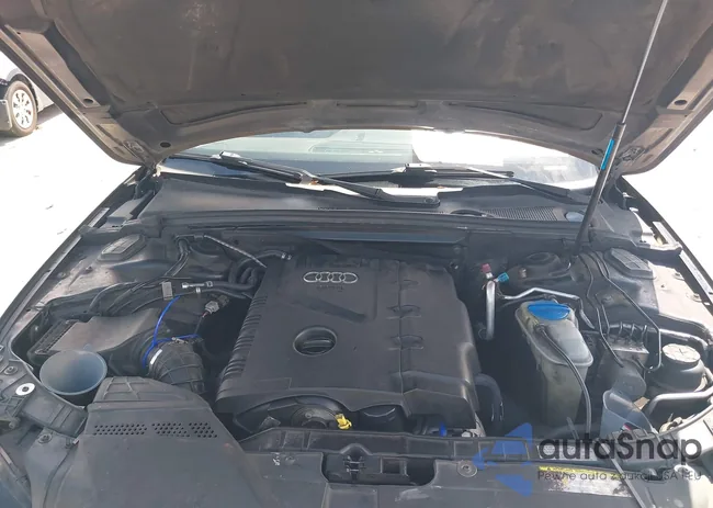 WAUMFAFL3BN024061: 42511341