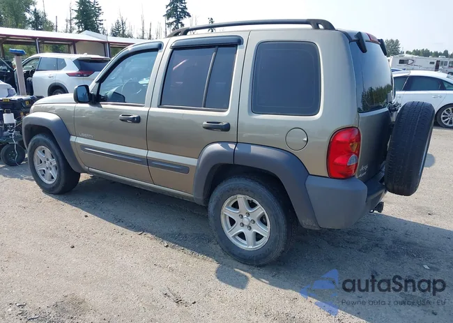 1J4GL48K94W129595: 42514063