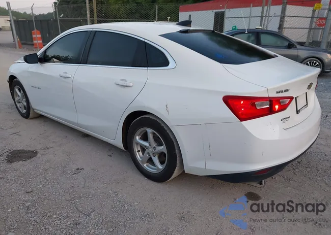 1G1ZC5ST5HF245719: 42513319